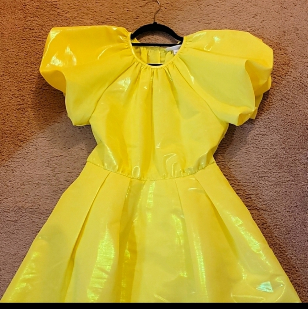 Christopher John Rodgers Iridescent Yellow Dress - Picture 10 of 16